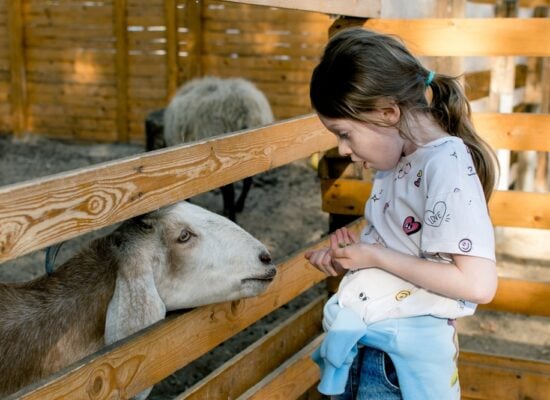 Free farms in London