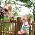 May Half Term Activities in London
