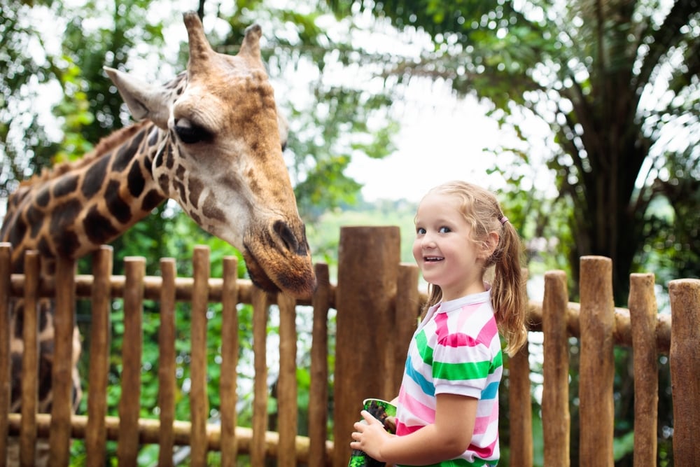 May Half Term Activities in London
